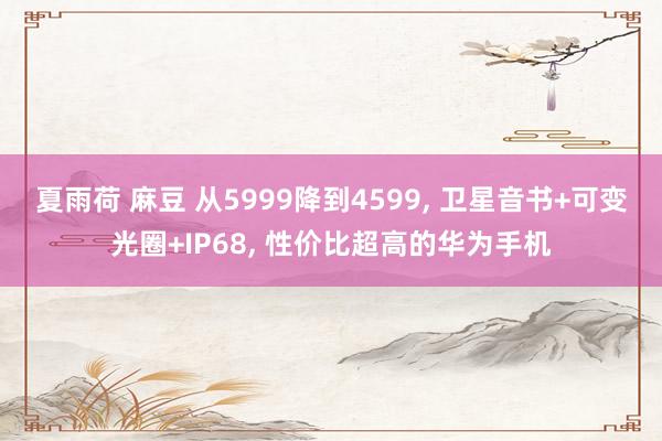 夏雨荷 麻豆 从5999降到4599, 卫星音书+可变光圈+