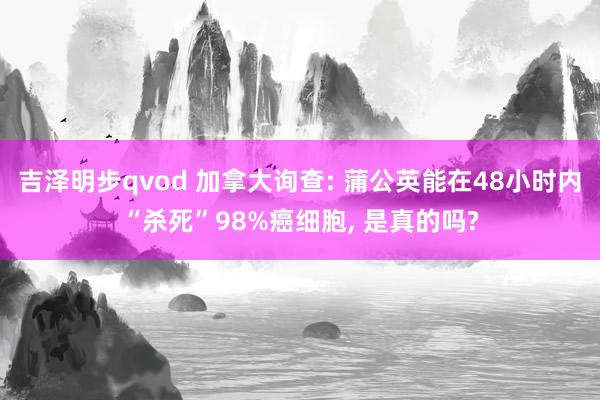 吉泽明步qvod 加拿大询查: 蒲公英能在48小时内“杀死”