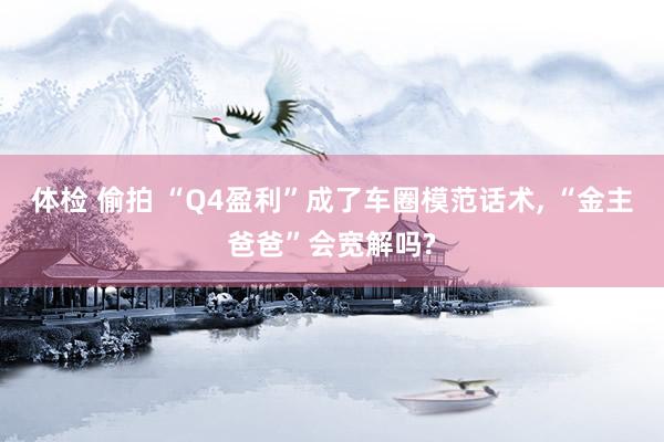 体检 偷拍 “Q4盈利”成了车圈模范话术， “金主爸爸”会宽解吗?